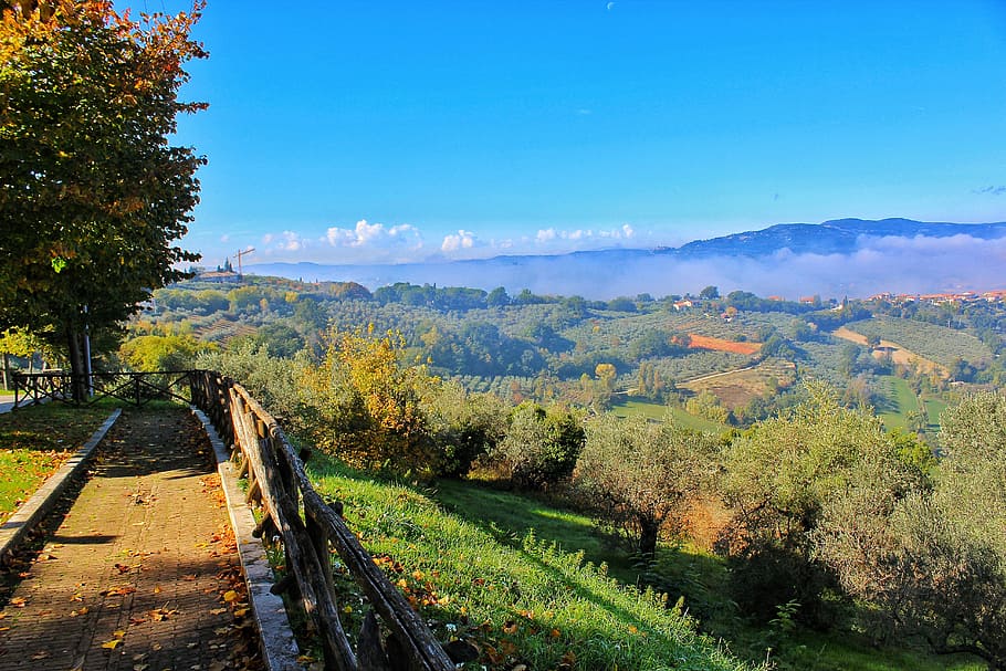 Umbria, Landscape, Hill, green, cottages-vacation rentals, prato, tree, rural scene, outdoors, sky