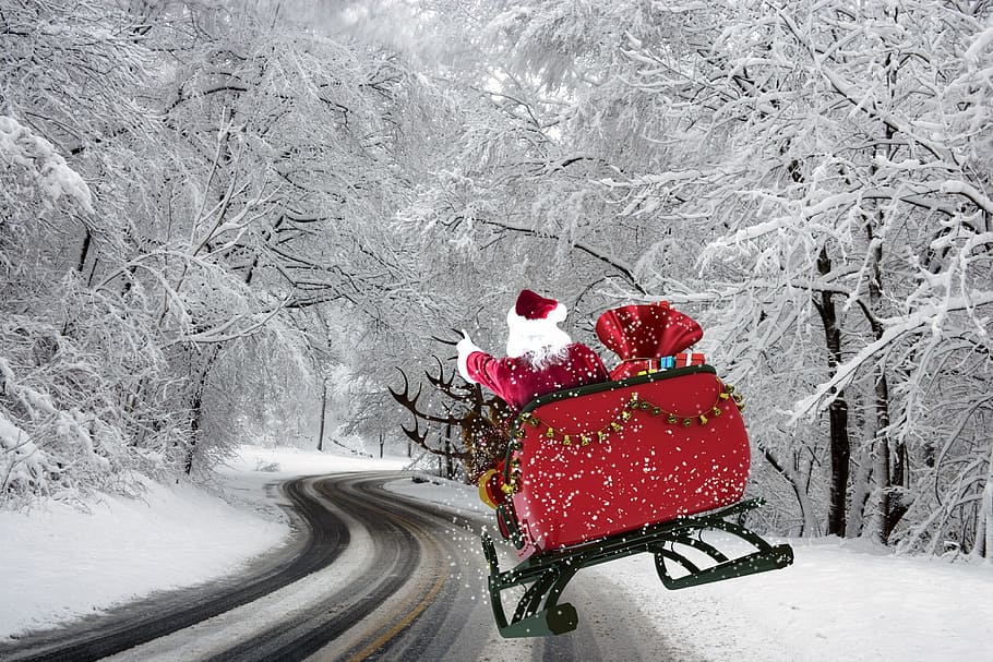 산타 클로스, 승마, 회전 목마, 눈, 덮은, 나무, 도로, 크리스마스, 아버지 크리스마스, 메리 크리스마스