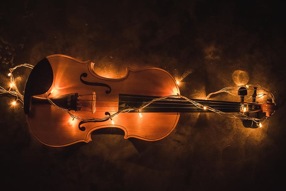brown, black, violin, white, string lights, lighting, creative, music, musical, instrument