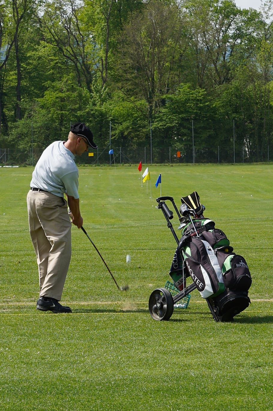 sport, golf, golfer, golf clubs, tee, golf carts, caddy, golf ball, golf course, activity