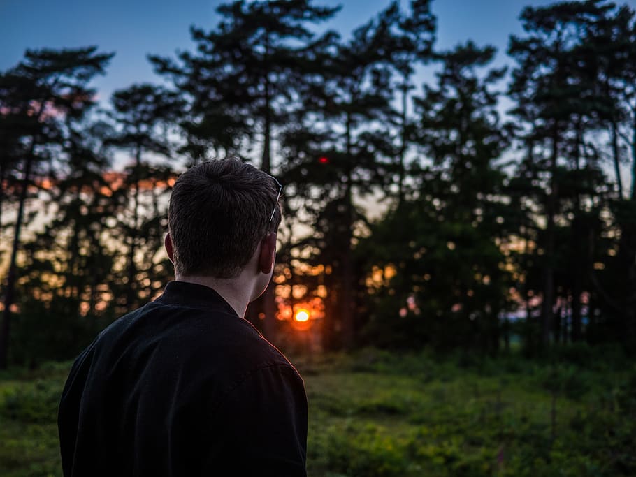 people, man, nature, sunset, sun, trees, green, travel, rear view, one person