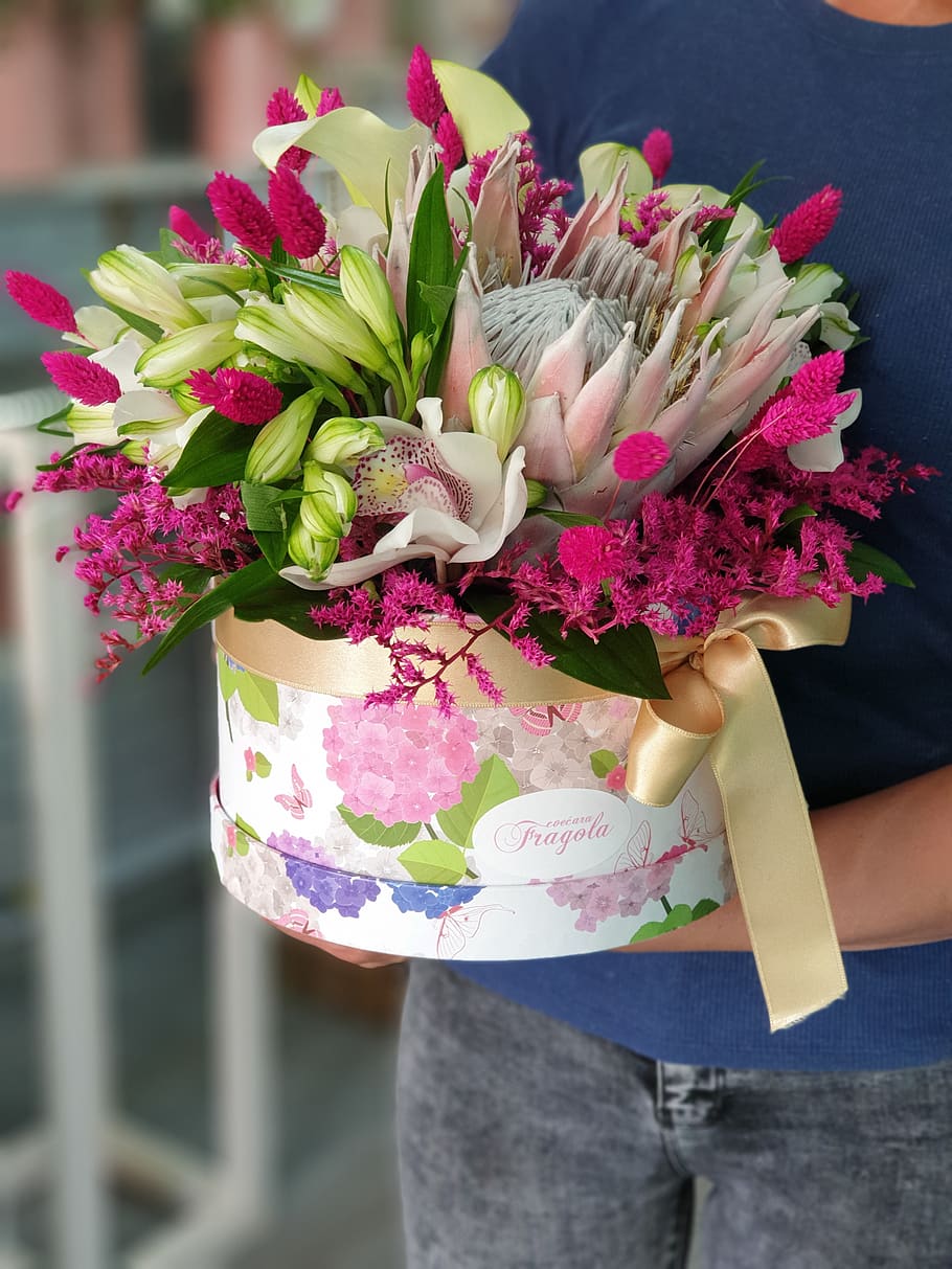 flower, wedding, box, flowerbox, field flower, roses, cvecara fragola, serbia, flowershop, flowering plant