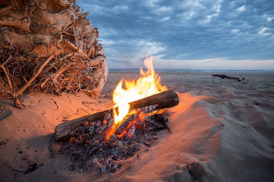 bonfire, sea, golden, hour, campfire, fire, beach, heat, flame, burn