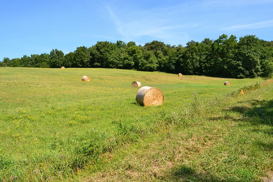 hay bales, fields, hay, field, agriculture, grass, nature, landscapes, haystack, pre