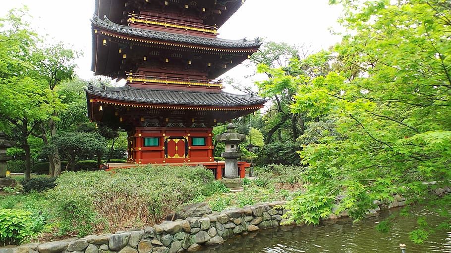 Ueno, japonês, Japão, Tóquio, pagode, natureza, Ásia, templo - construção, cultura japonesa, culturas
