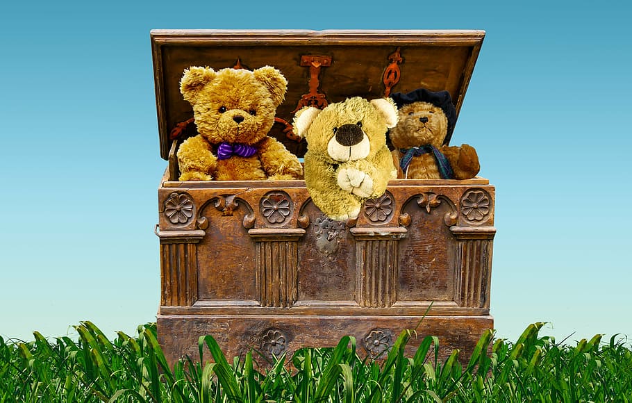 teddy, bears, inside, hope chest, chest, box, treasure, treasure chest, teddy bears, valuable