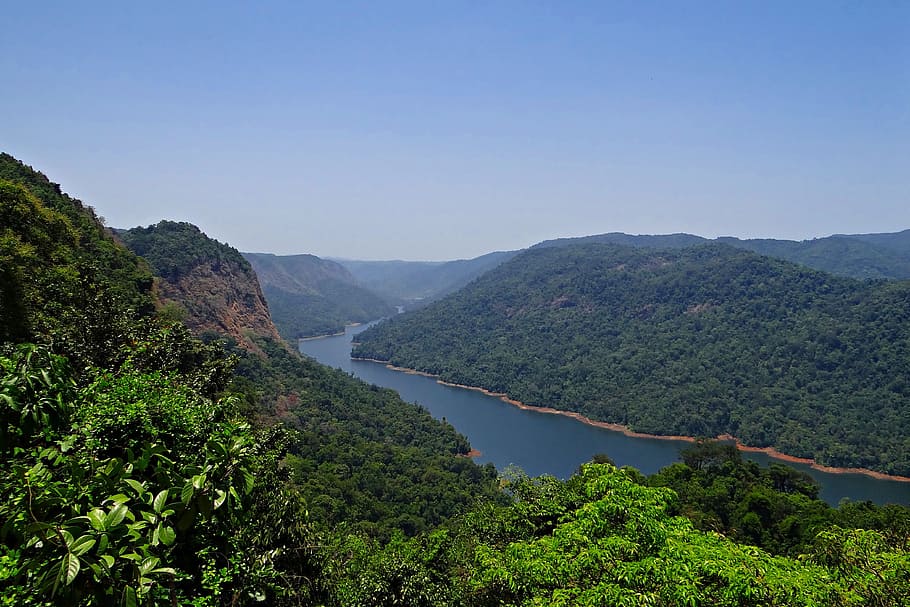 landscape photography, trees, Western Ghats, Sharavati River, River, Valley, valley, mountains, dense forest, evergreen, forest