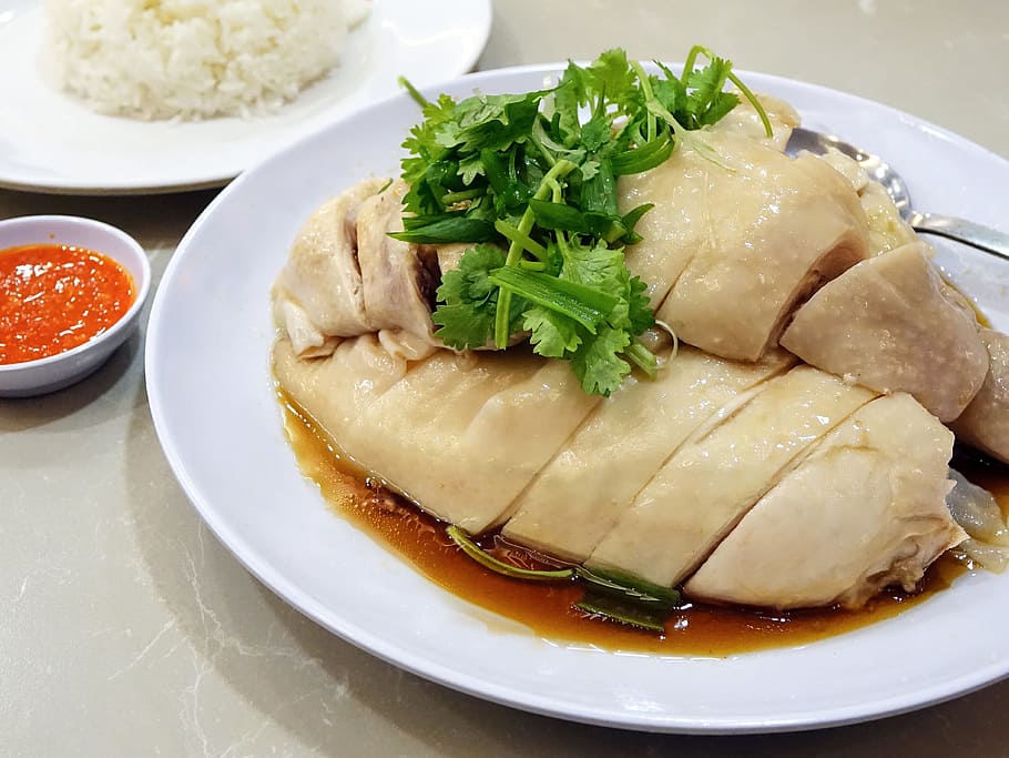 steamed, chicken, white, ceramic, plate, chicken rice, 白斩鸡, food, asian, cuisine