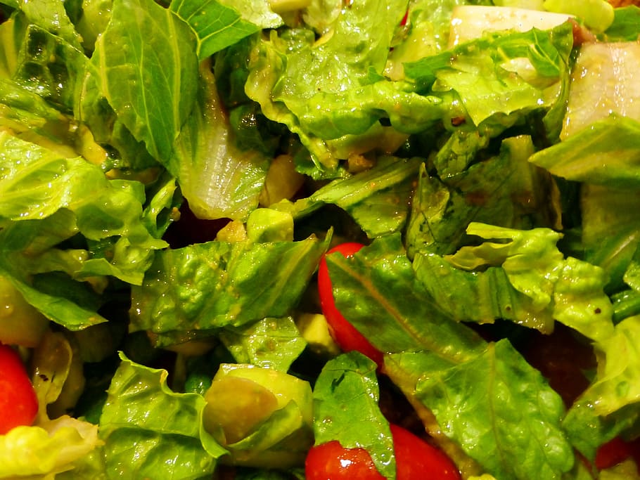 selada, tomat, sayuran, makanan, sehat, salad, lezat, minyak, zaitun, segar