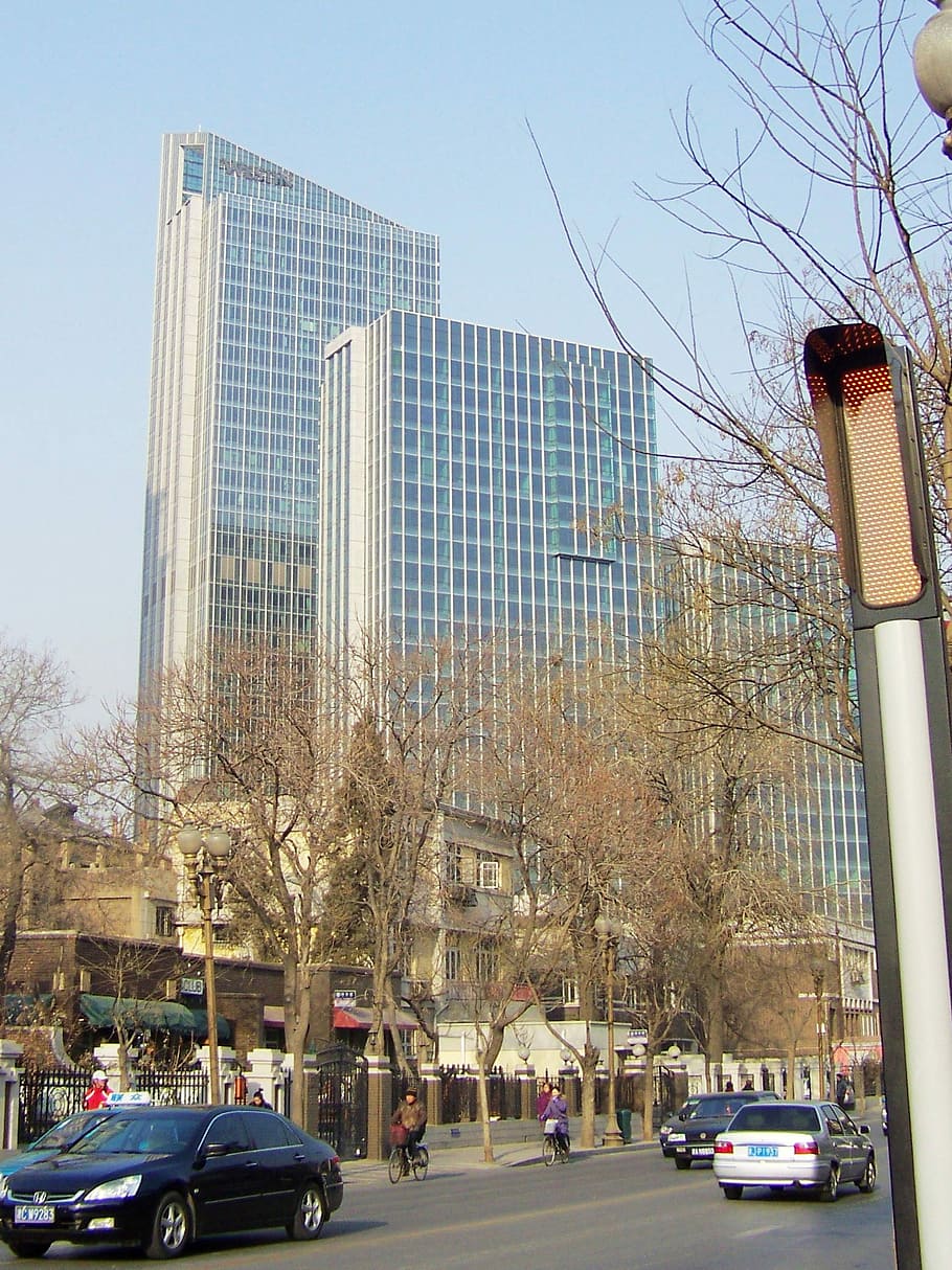 tree, cityscape, Buildings, Tianjin, China, building, photos, public domain, skyscrapers, trees
