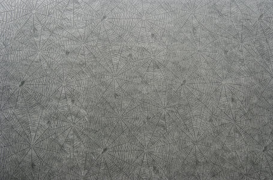 superfície de concreto cinza, papel, padrão, aranha, papel de padrão de aranha, papel texturizado, textura, textura de papel, papel de aranha, glassine