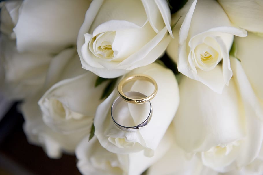 silver, gold band rings, silver and gold, band, rings, wedding, wedding rings, marriage, love, wedding flowers