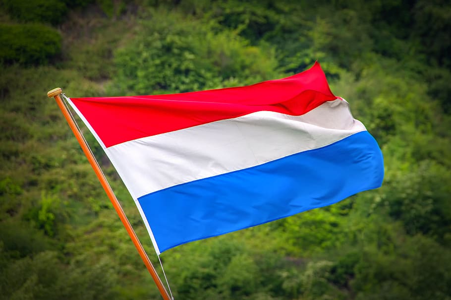 bandera, países bajos, holanda, europa, tierra, rojo, azul, blanco, holandés, nación