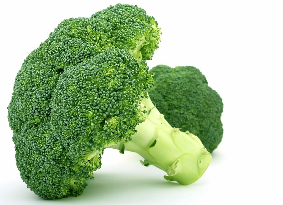 green broccoli, appetite, broccoli, brocoli broccolli, calories, catering, colorful, cookery, cooking, cuisine
