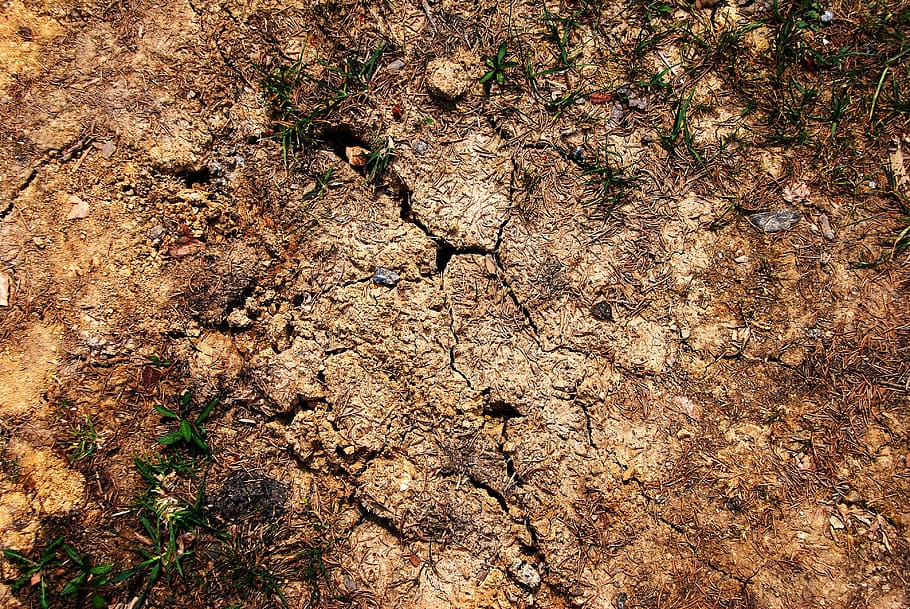 close-up photo, soil, Cracked, Earth, Ground, Brown, Parched, earth, ground, cracks, c
