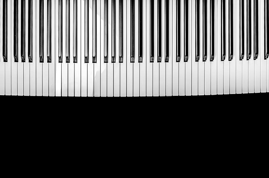blanco, negro, ilustración de teclas de piano, piani, teclas de piano, clásica, concierto, instrumento, jazz, teclado