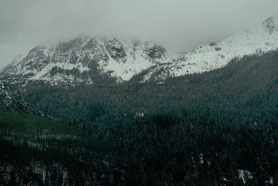 aerial, view photography, mountain, mist, nature, mountains, snow, trees, forest, woods