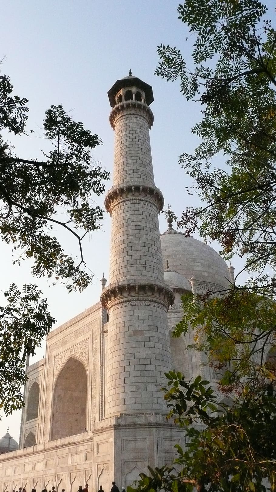 torre, india, taj mahal, rajasthan, monumento, viaje, árbol, arquitectura, estructura construida, planta
