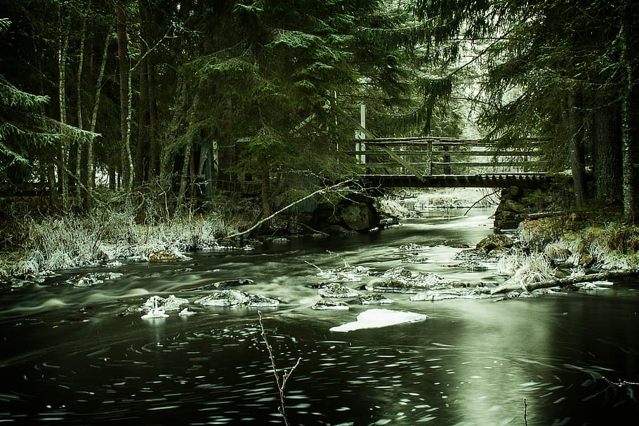 the nature of the, water, river, woodwork, three, outdoors, stream, waterfall, the landscape, winter