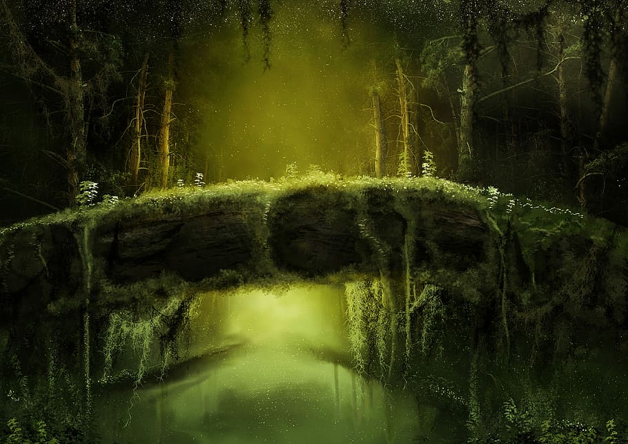 jembatan, ilustrasi sungai, hutan, gaib, fantasi, suram, alam, dongeng, gelap, pohon
