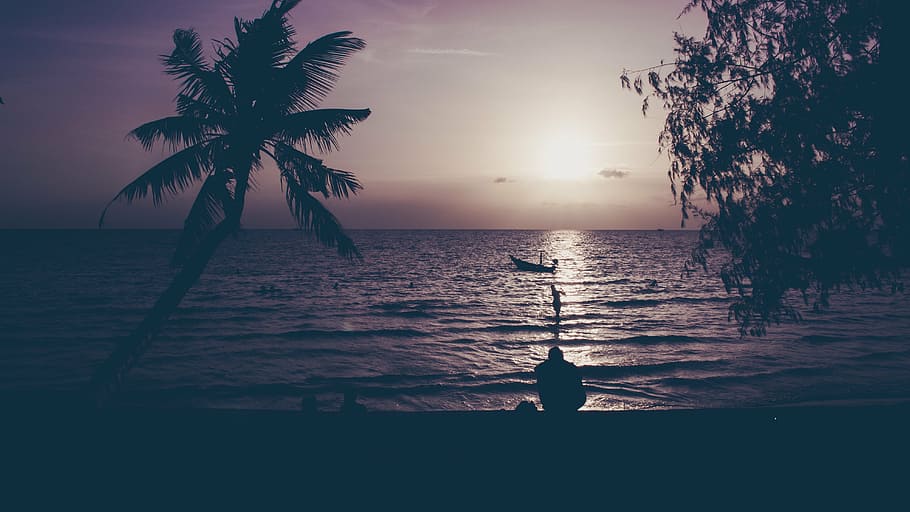 silhouette, person, sitting, seashore, tree, body, water, dark, sunset, sea