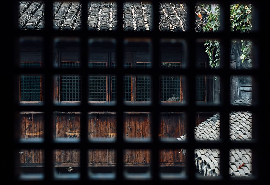 xitang, the scenery, the ancient town, window, pattern, metal, safety, architecture, grid, building