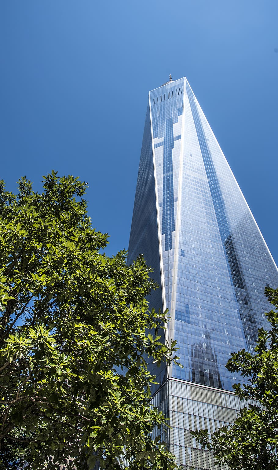 One World Trade Center, torre, Manhattan, cielo, azul, vidrio, reflejos, árbol, edificio, estructura construida