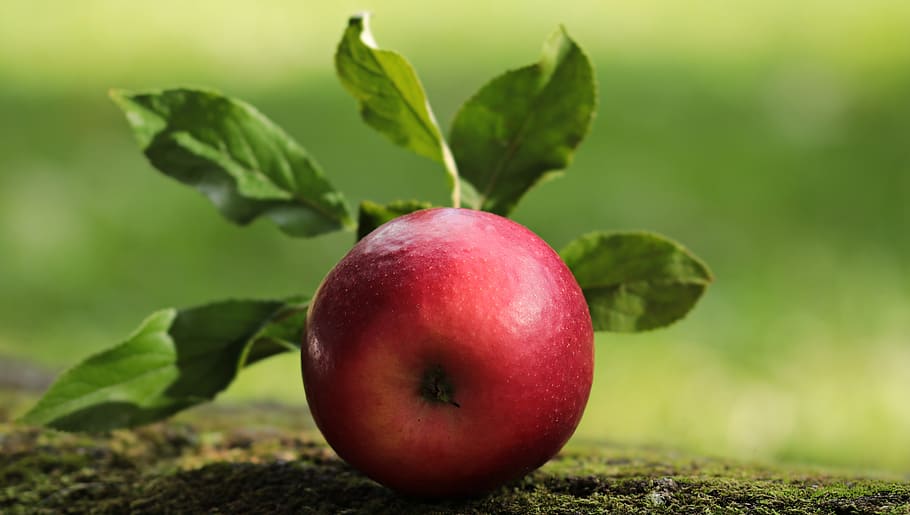 buah merah bulat, apel, apel merah, merah, lezat, buah, vitamin, frisch, alam, sehat