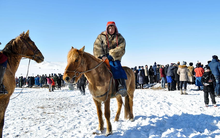 jinete, mongol, caballo, asia, naturaleza, equitación, tradicional, al aire libre, pony, animal