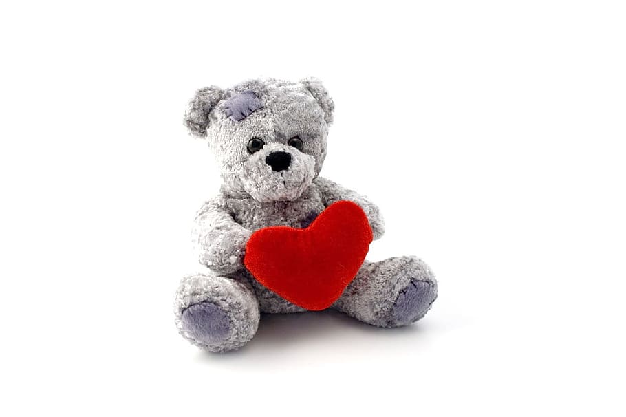 foto, abu-abu, beruang, memegang, hati, mewah, mainan, teddy bear, teddy, hewan