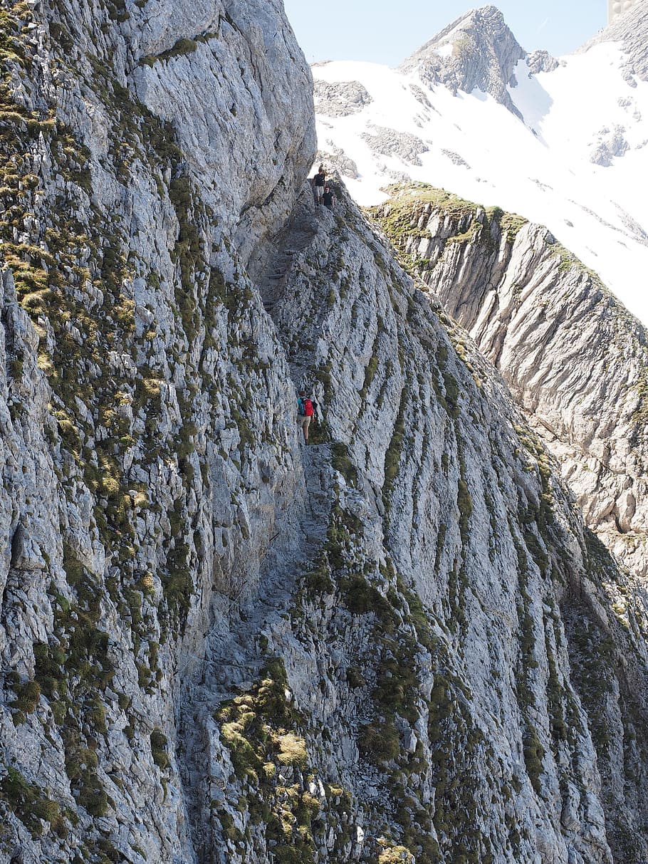 säntis, memanjat, tali, batu, terbuka, berebut, lensa ridge, swiss alps, appenzell, wilayah alpstein