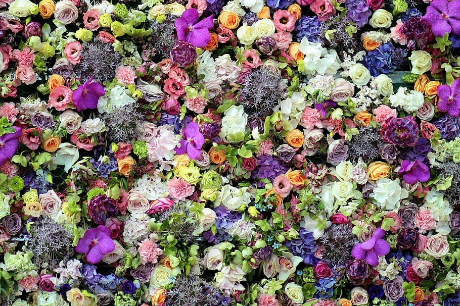 色とりどりの花, 花, カーペット, 着色, マルチカラー, 開花植物, フルフレーム, 背景, 鮮度, 脆弱性