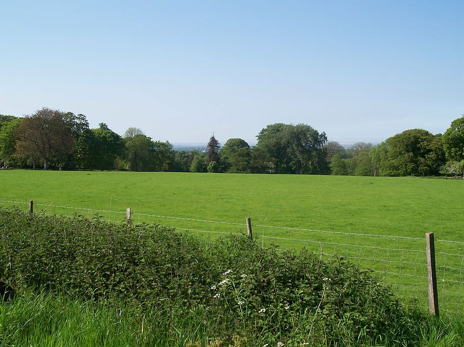 countryside, north downs, kent, sittingbourne, country, park, grass, green, hills, trees