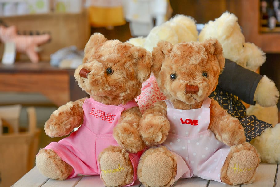 mainan, boneka, beruang, teddy, masa kecil, teddy bear, berbulu, hadiah, lucu, lembut