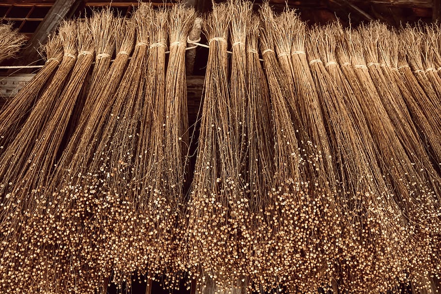 flax, plant, dry, craft, old craft, spin, weave, canvas, substances, hang