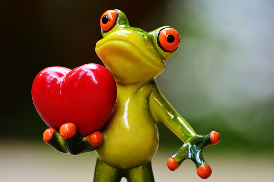 frog, holding, heart figurine, love, valentine's day, pose, heart, funny, animal, fun