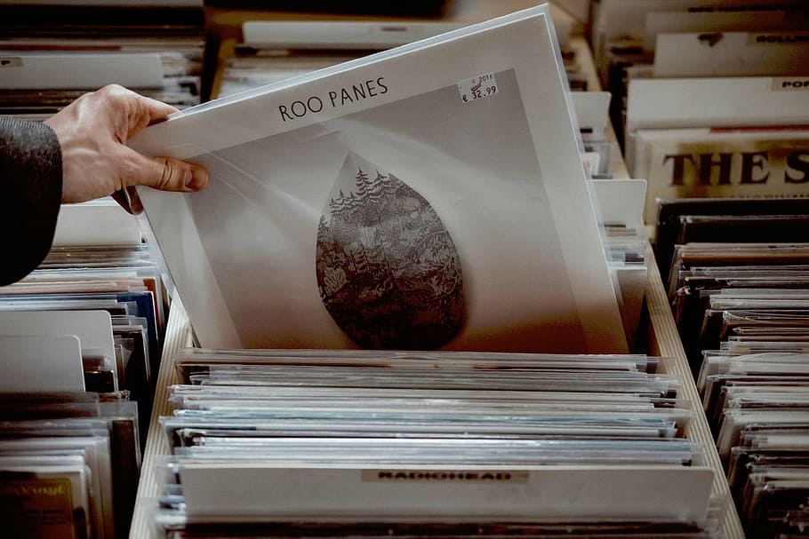 person, holding, roo panes vinyl sleeve, store, collection, people, hand, vinyls, roo, panes