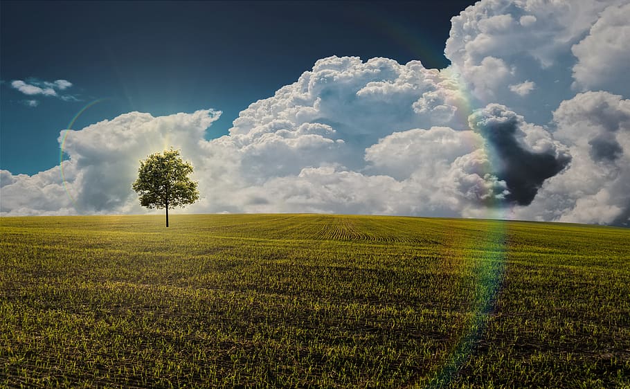 nature, sky, clouds, landscape, atmosphere, forward, time, idyllic, green, light