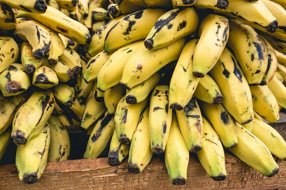 bananas cubanas, fechar, cubana, bananas, close-up, banana, frutas, alimentos, frescura, saudável