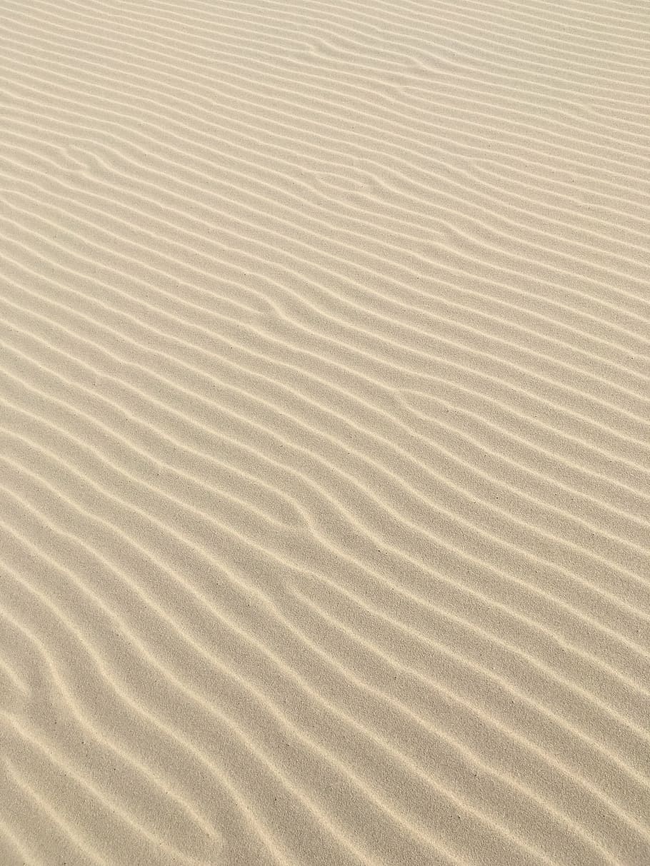 arena, líneas de arena, playa, hierba, dinamarca, naturaleza, duna de arena, desierto, nadie, patrón