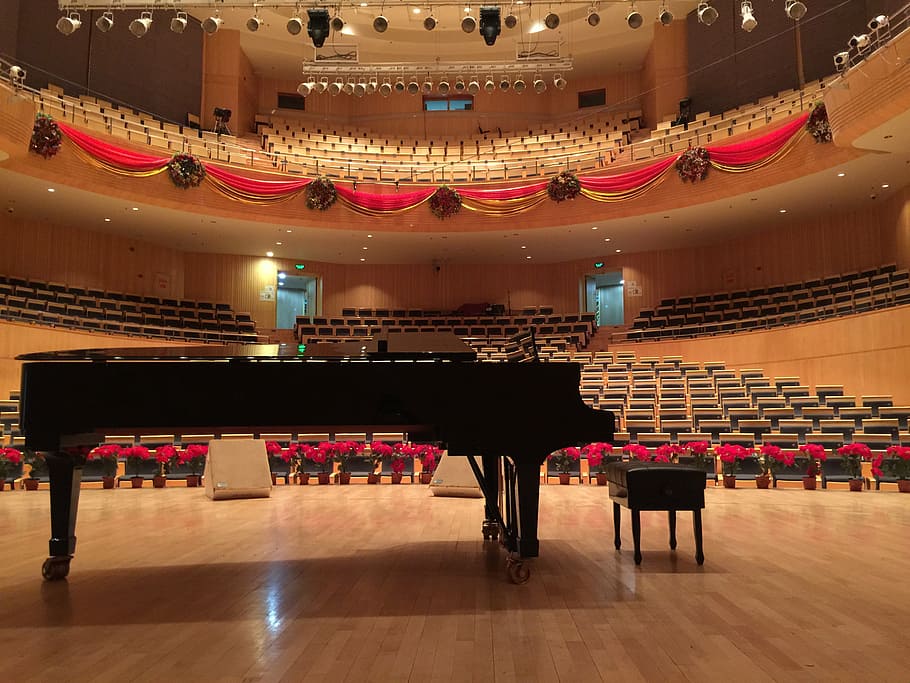 black, grand, piano, stage, concert hall, steinway, music, stage - Performance Space, performance, classical Concert