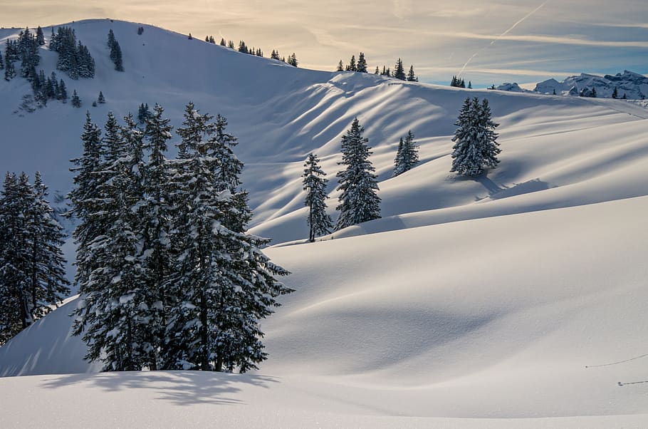 winter, mountains, snow, landscape, nature, alpine, summit, scenic, sky, trees