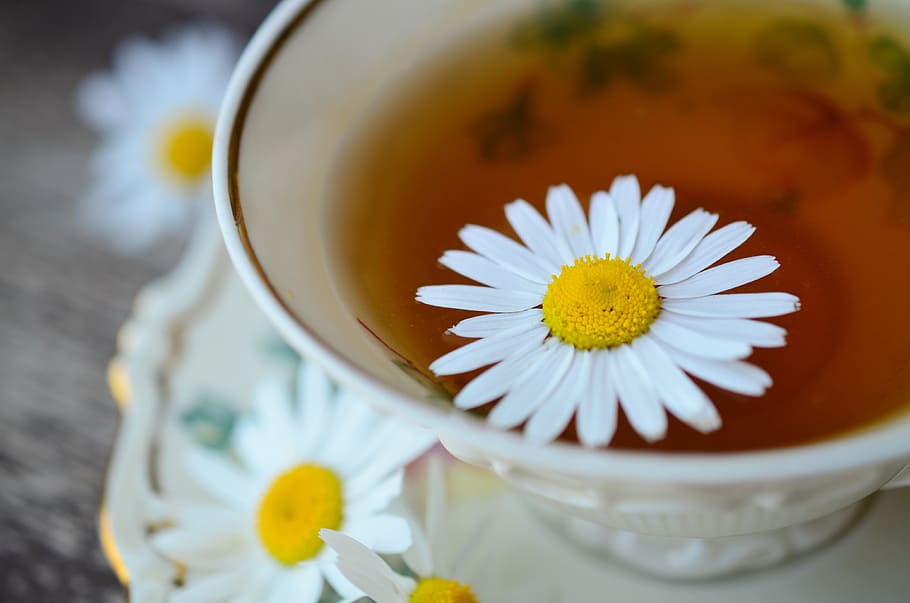 seletivo, fotografia de foco, branco, flor de camomila, flutuante, chá, camomila, chá de camomila, medicamento, naturopatia