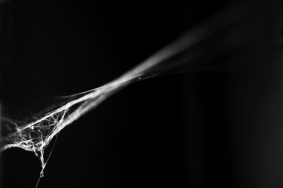 macro, web, spider, cobwebs, close up, smoke - physical structure, motion, black background, studio shot, abstract