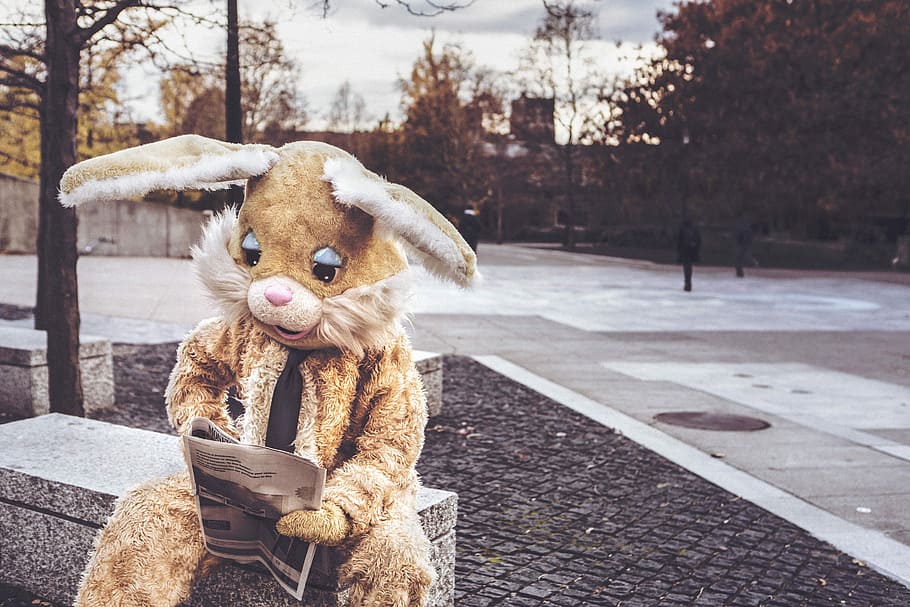 person, wearing, brown, bunny costume, brown bunny, costume, whimsical, animals, lazy, rabbit