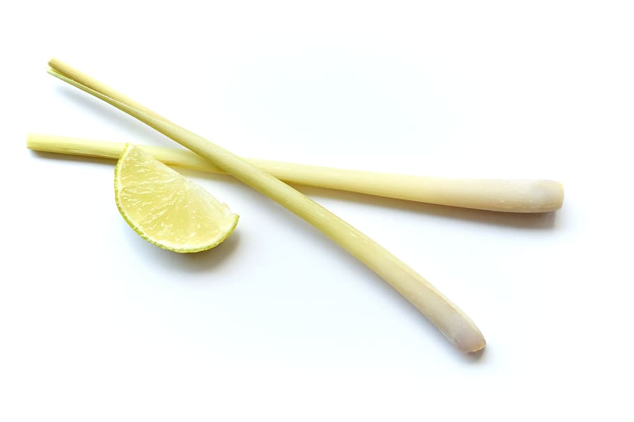 two onions, Lemon, Ingredient, Kitchen, lemongrass, white background, studio shot, close-up, musical instrument, day