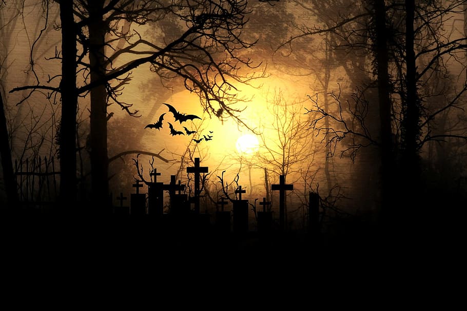 cemetery tomb, trees silhouette, moonlight, night, horror, full moon, mood, forest, darkness, silhouette