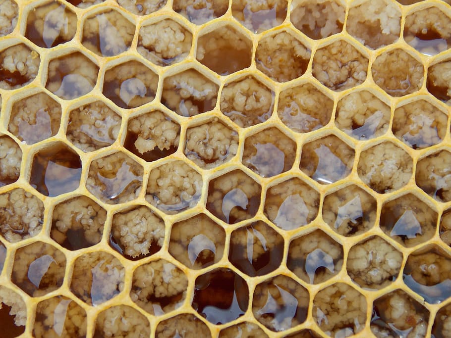 honeycomb closeup photo, honeycomb, bees, hexagons, comb, honeycombed, insect, hexagon, pattern, hive