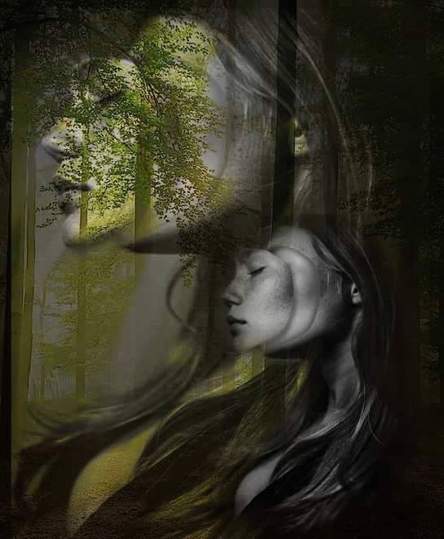 image editing, mask, forest, overlay, tree, plant, nature, one person, women, day