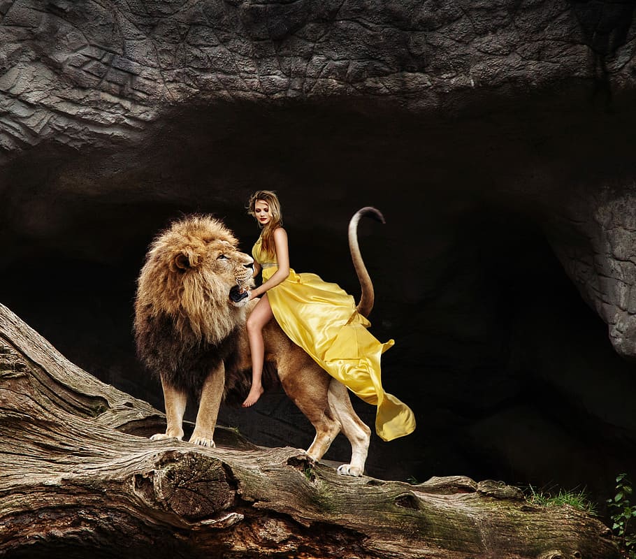 woman, back, lion, ride, predator, flowing dress, yellow, pet, mount, digital art